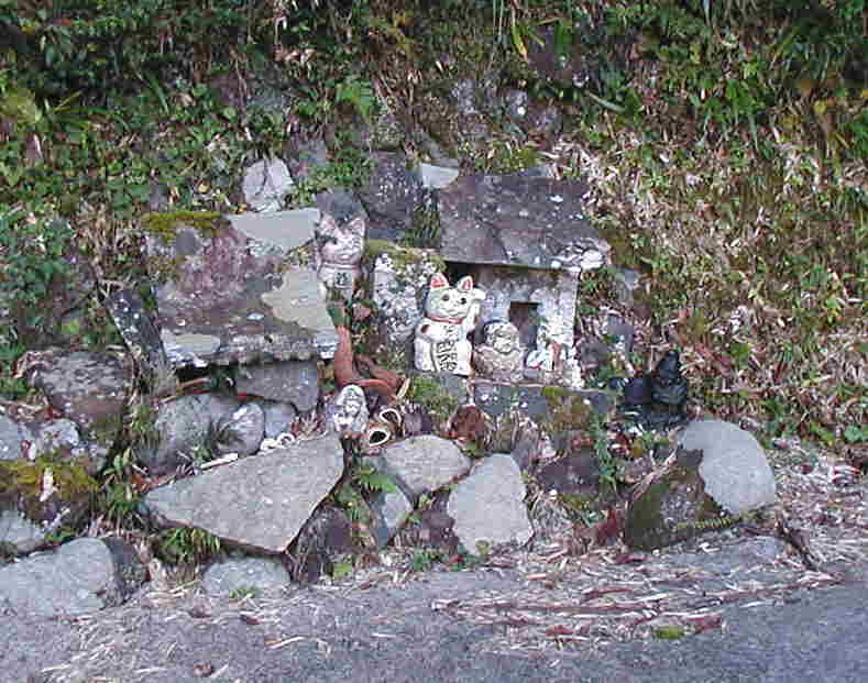 ���ʂ̐��K