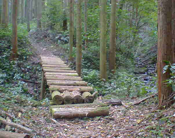 �V������