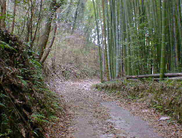 �ѓ����s��