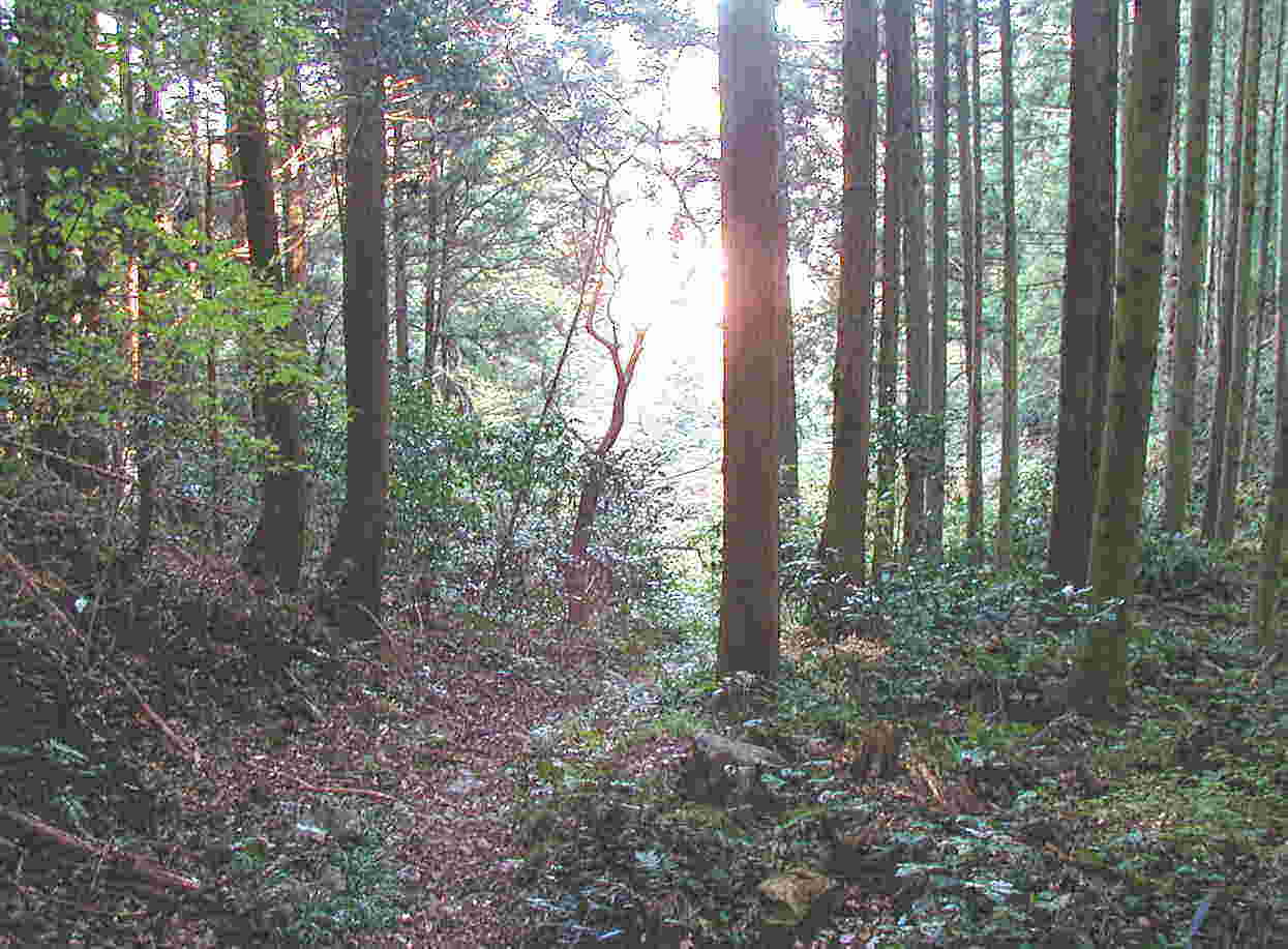 �܂��Ȃ��o��