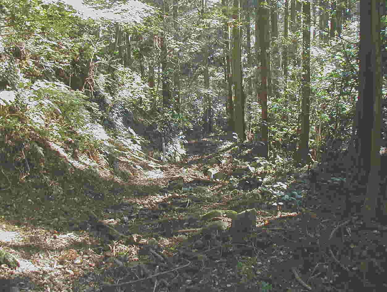 ������̉��蓹