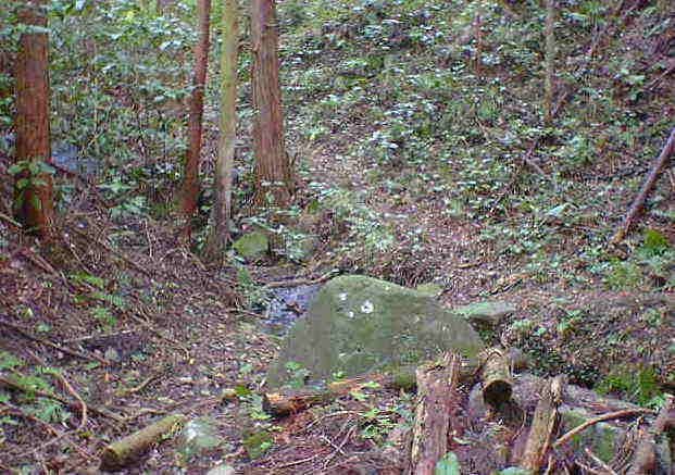 ���Ɏ��铹�P