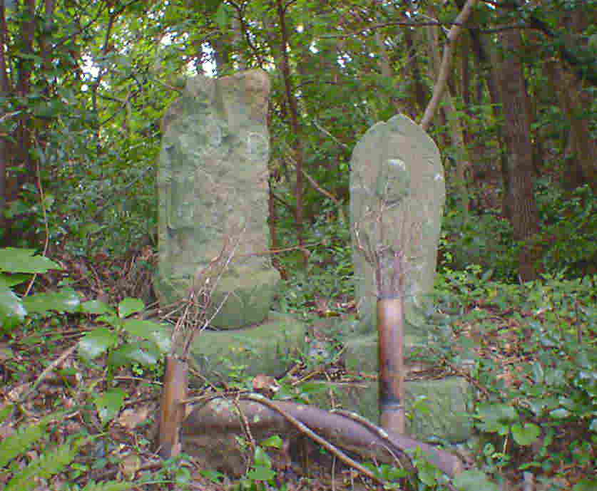 �������̒n���l