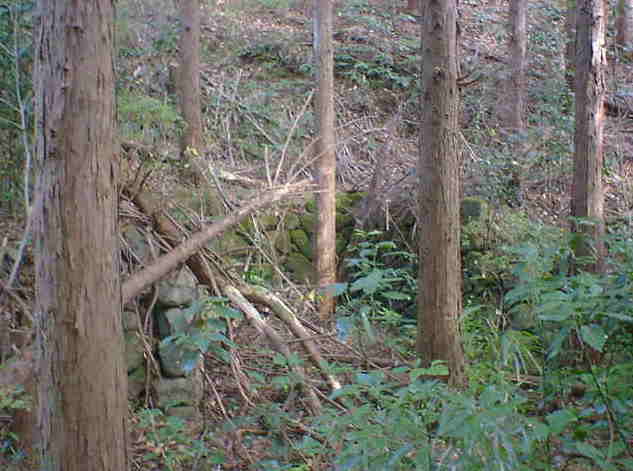 �s�v�c�ȐΊ_�̗l�q