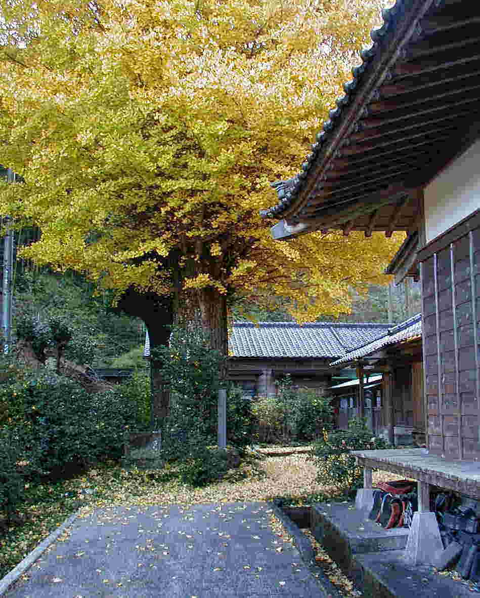 �M�\������