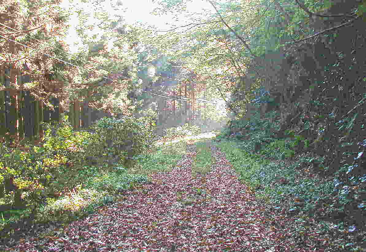 �@�䎛���ւ̗ѓ�