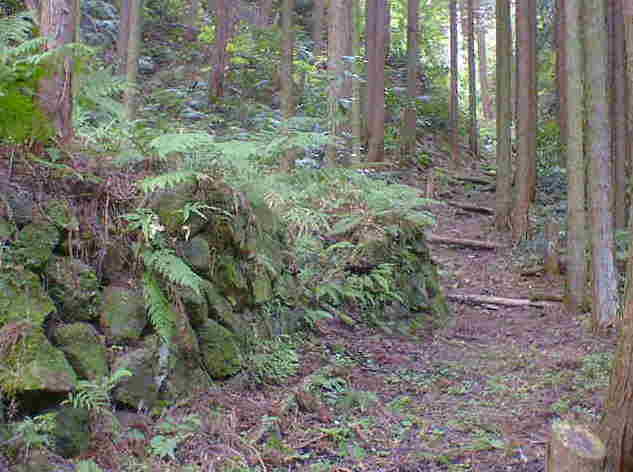 �Y�Ă������̐�