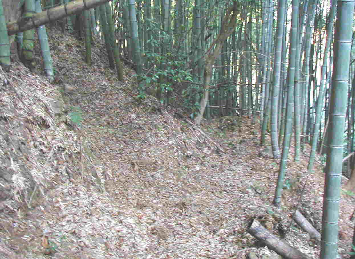 �|�т̕����ꓹ