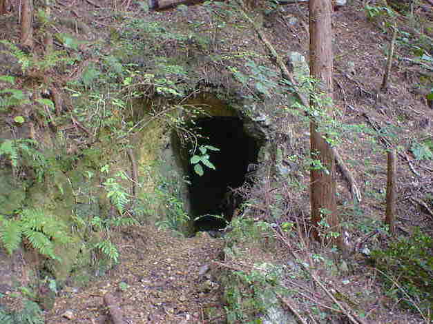 �R�ɂ��錊�R