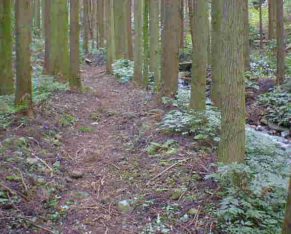 �ɂ₩�ȓo�蓹