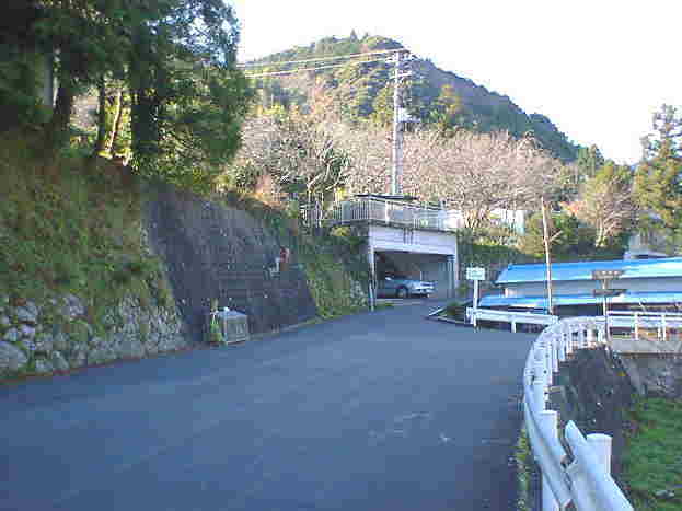 ���W���̂���Ƃ���