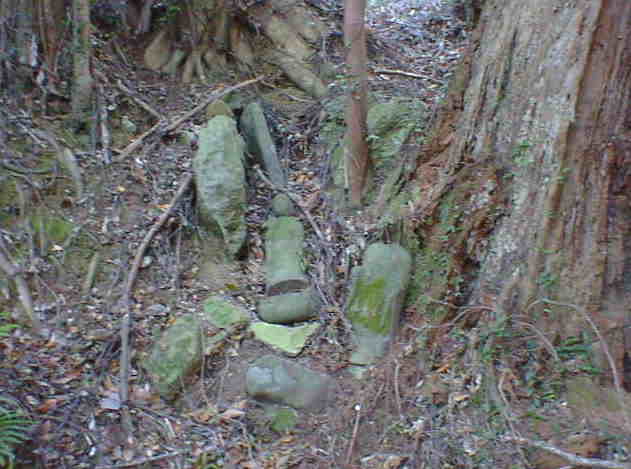 ���̂��n���l�̗l�q